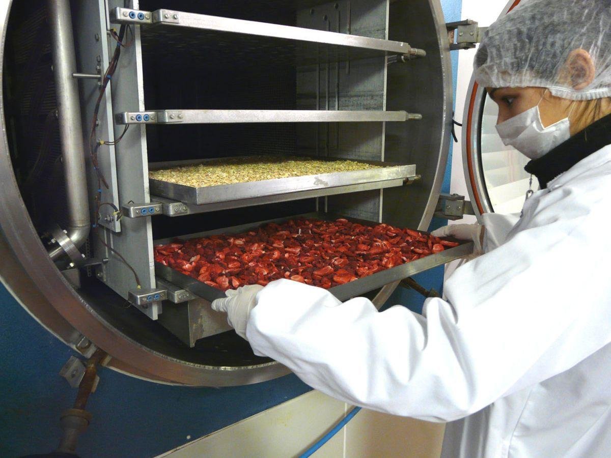 Industrial Lyophilizer Supplier in India- Freeze Drying System